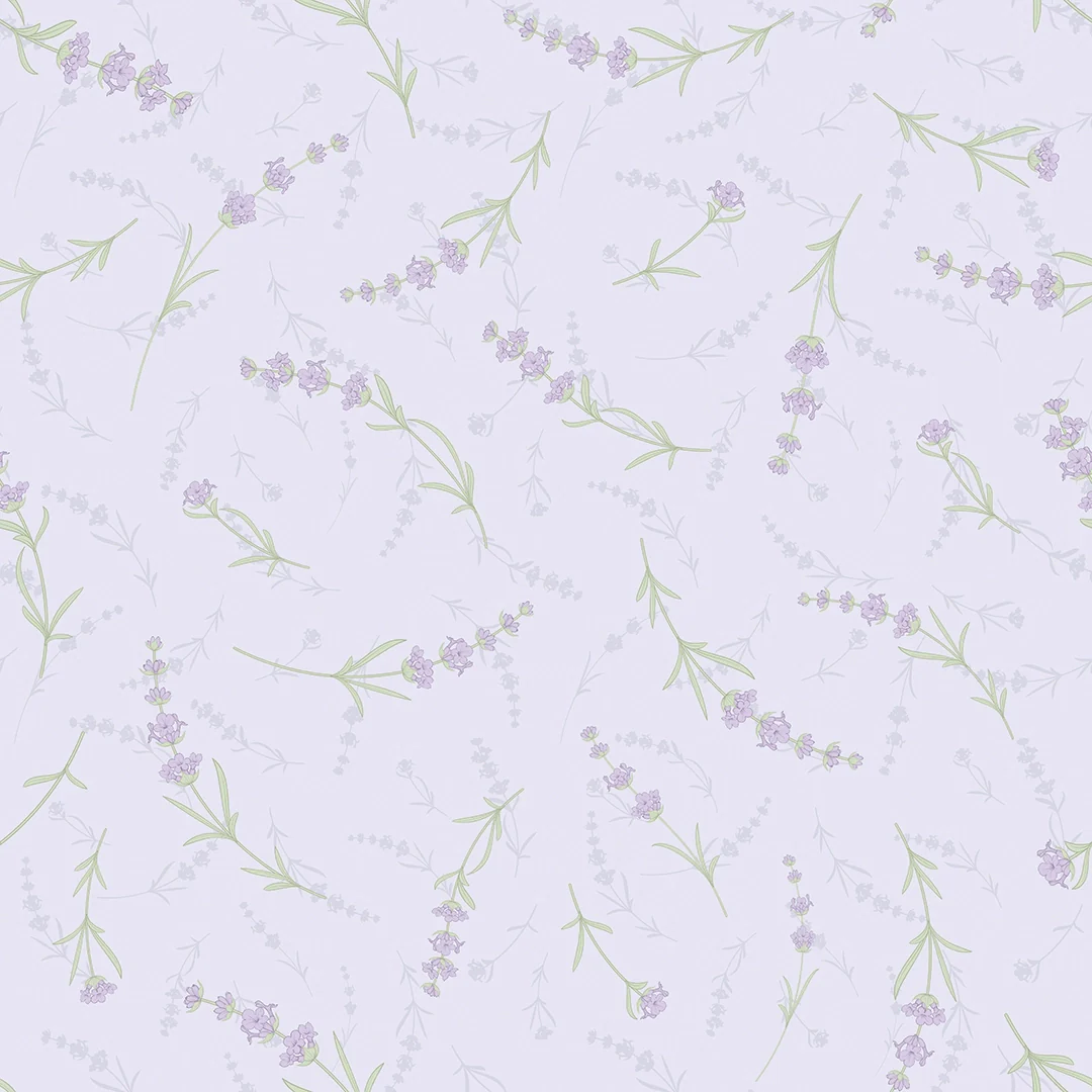 Wallpaper Sale Outlet